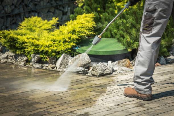 Best Sign and Awning Cleaning  in Spring Valley, IL