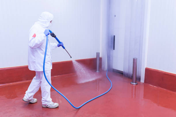 Best Building Exterior Washing  in Spring Valley, IL