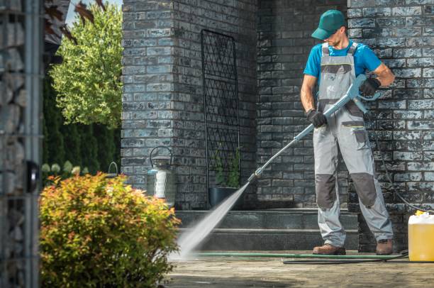 Best Rust Removal  in Spring Valley, IL