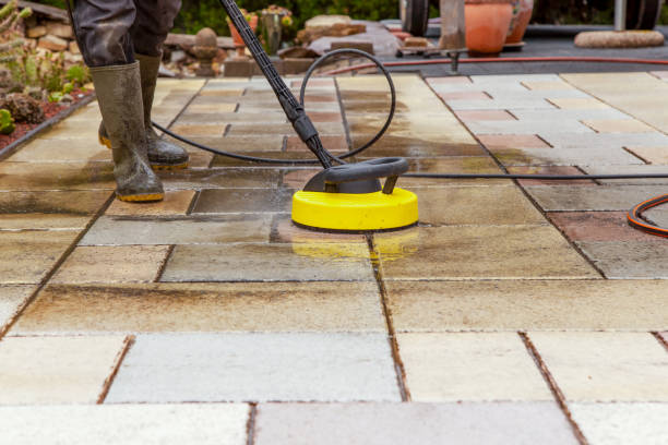 Best Animal Enclosure Cleaning  in Spring Valley, IL